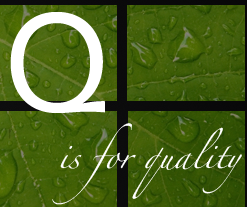 quality homes stands for quality